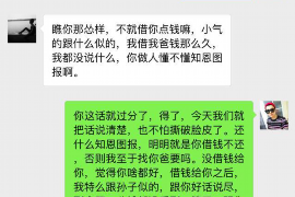 桐城桐城的要账公司在催收过程中的策略和技巧有哪些？